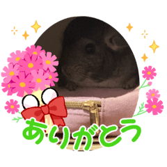 yuka_20220217224433