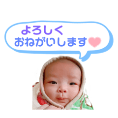 Everyday Aoi.2