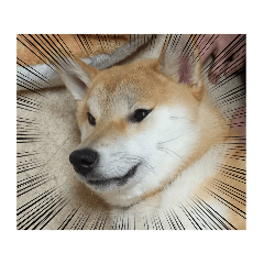 yun_20220218015648
