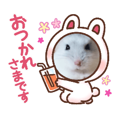 Arisa_20220217153836