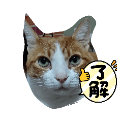 KAORI_20220217161505