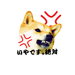 柴犬ゆずの怒り Line スタンプ Line Store