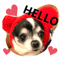 saori_20220217232639