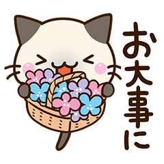 Chibi Siamese cat18