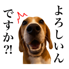 Umeokaka_20220217220400