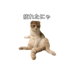 chie_20220217224448