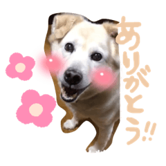 ayumi_20220217224149