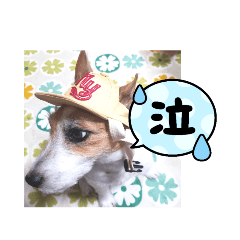 Jack_2022