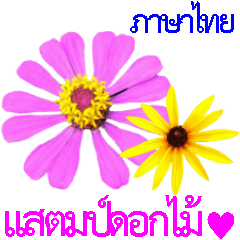 kikimama Flower Sticker Thai version.