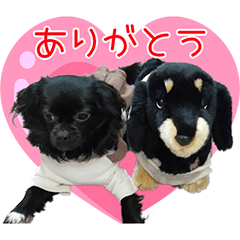 SORA HUKU HARUNONICHIJOU