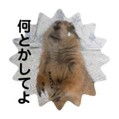 Jackie_20220218020238