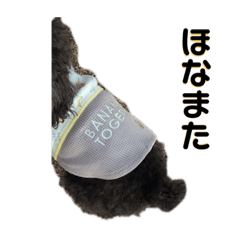 saori_20220218132804