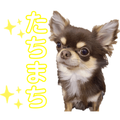 sherry_20220218112447