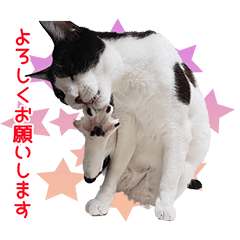 MARUMEKKO SIAWASESticker