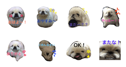 COCO's   LIFE