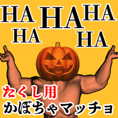 Takushi Pumpkin macho