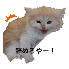 suzu_20220218155685