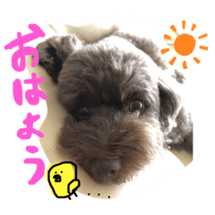 ayumi_20220218232606