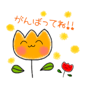 Alice_20220219003336