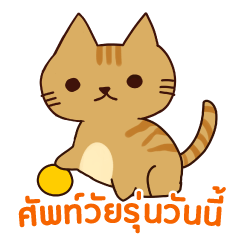 猫 : 今日の若者言葉 タイ語