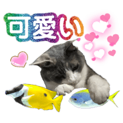 Goo nyan_20220219044135