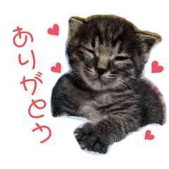 YUKARI_20220219094229