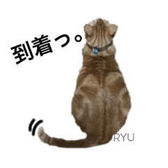 my name is Ryu