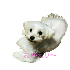 RABUKO_20220219082307