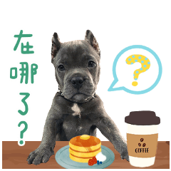 惡霸犬Pulo日常
