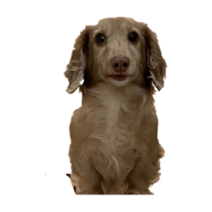 tomomi_20220219021015