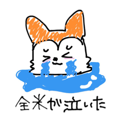 miyuu_20220218162732