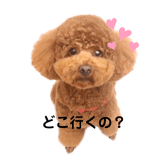 Yuka_20220219105006