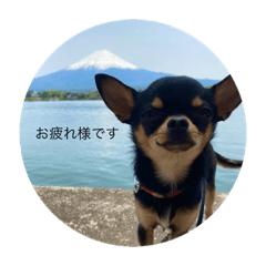 arisa_20220219104831