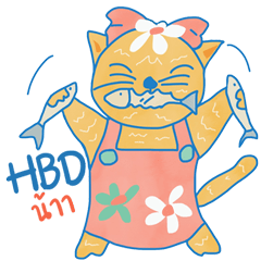 Cute Nori the cat in colorful dress