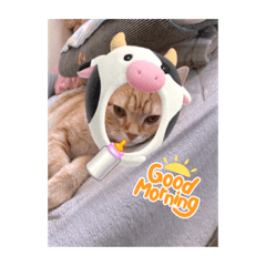 miki_20220219110924