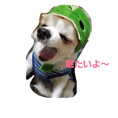 hu-ta LOVE