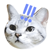 CHI.KU.WA.original