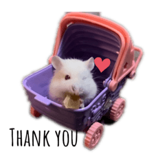 Emily_20220218232243