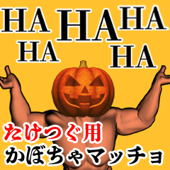 Taketsugu Pumpkin macho