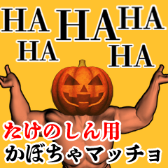 Takenoshin Pumpkin macho