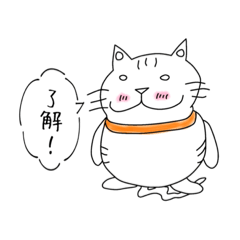 chiyo_STA