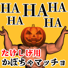 Takeshige Pumpkin macho