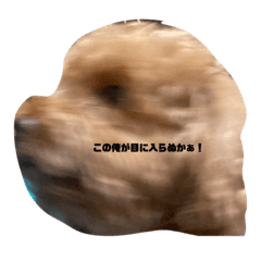mano_20220218224349
