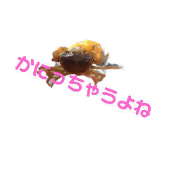 hello_20220219114540
