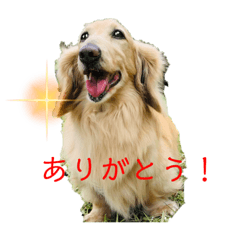 kanae_20220218201221