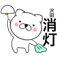 Name cat Sawada2