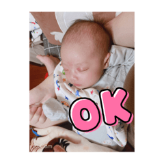 小鱷魚賣萌日常