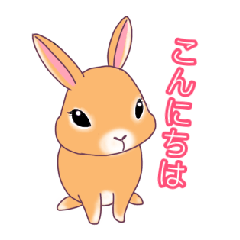 kawaii rabbit sticker 1