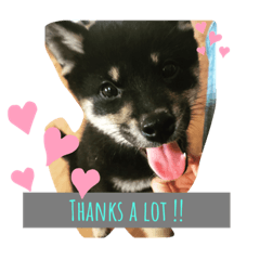 Alice_20220218215559