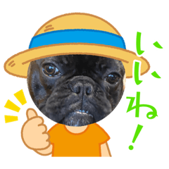 mizuki_20220219165922